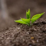 propriedades do solo