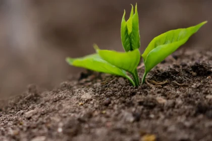 propriedades do solo