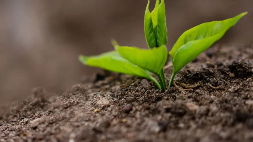 propriedades do solo