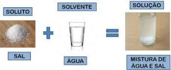 importância da água para os seres vivos