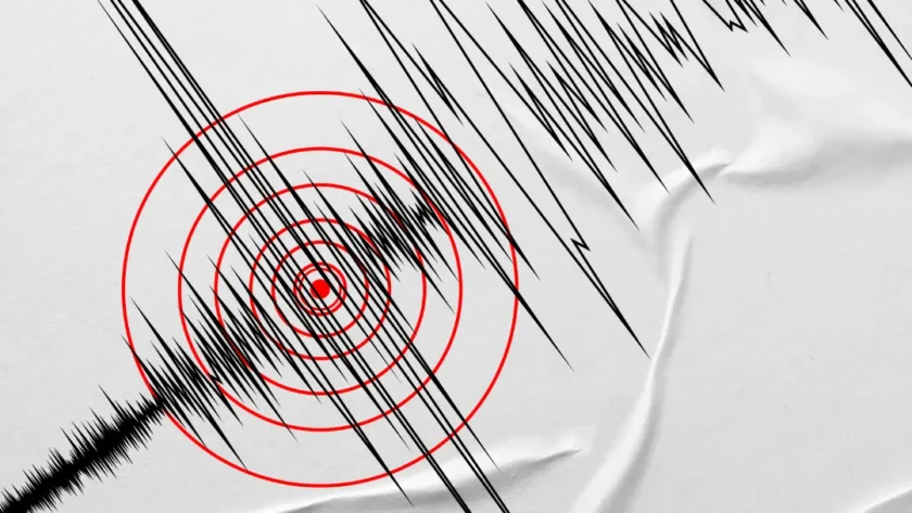 Sismologia: tudo o que precisas de saber sobre sismos, ondas e escalas de medição
